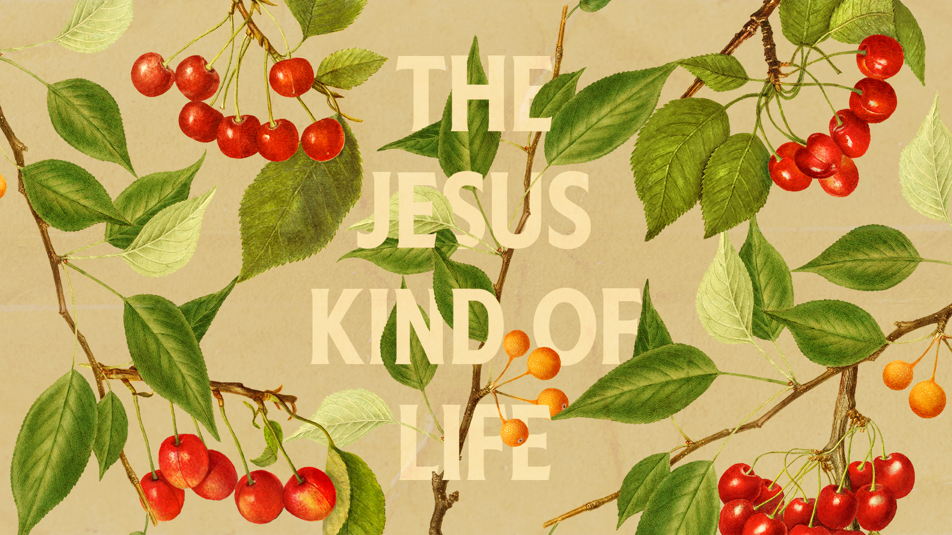 The Jesus Kind Of Life | Matthew 5-7