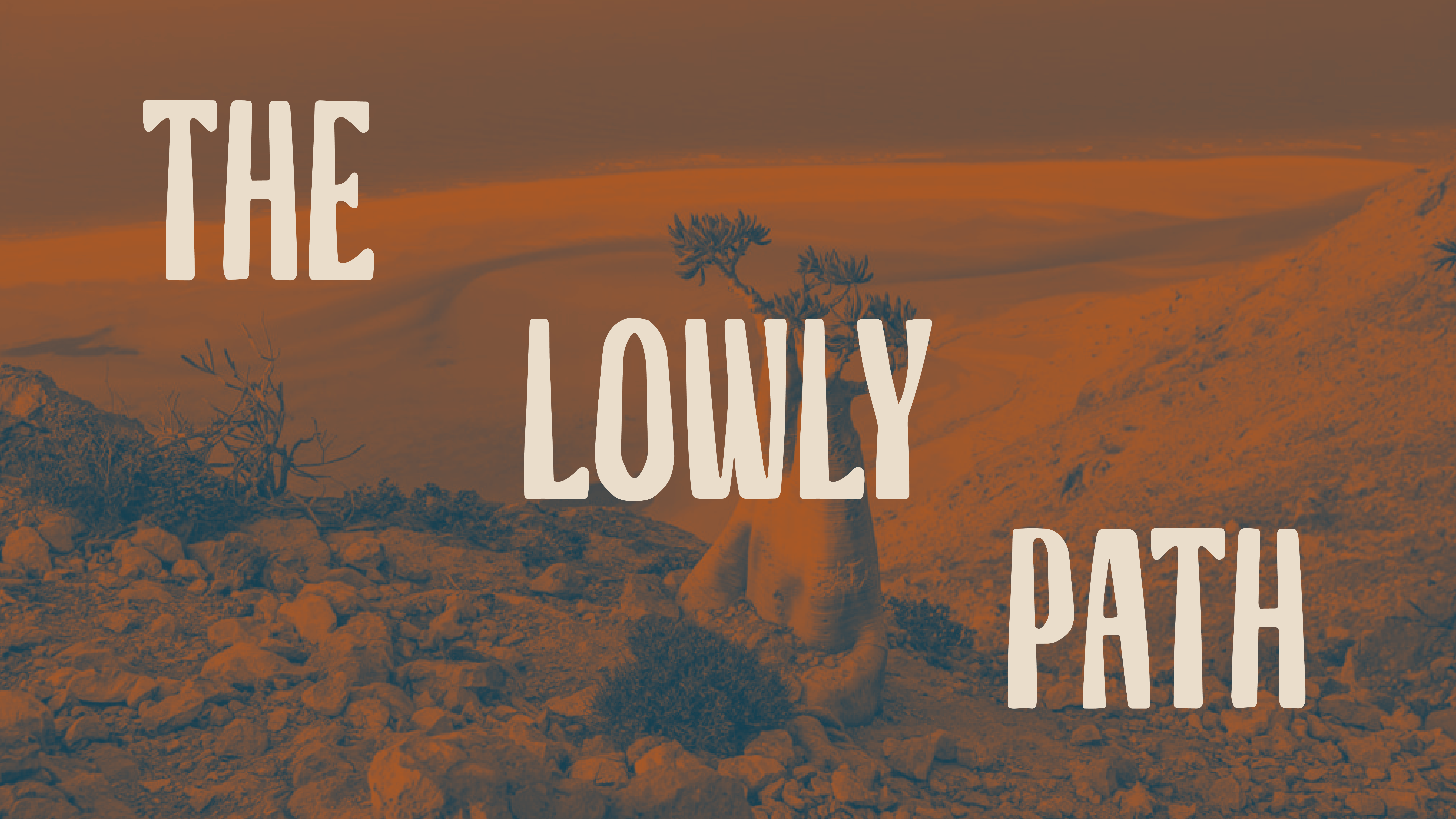The Lowly Path | Genesis 38:24–26; 44:33–34
